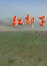 춼ӳ³---ӳũ彨ʵ